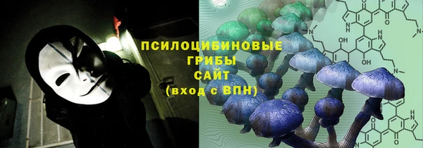 стаф Коряжма