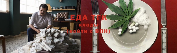 индика Инсар