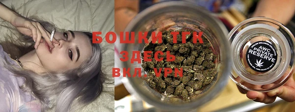 индика Инсар